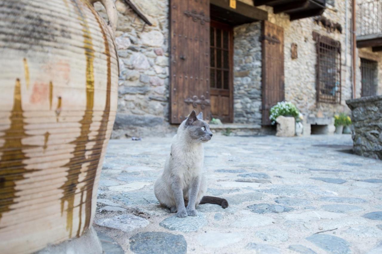 Can Criach Beget Exterior foto